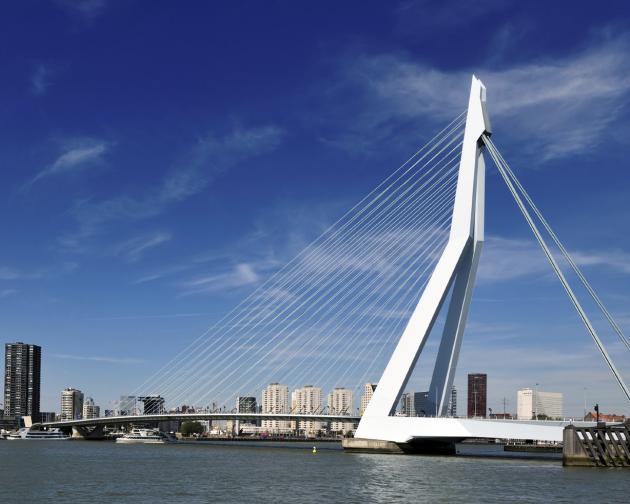 Erasmus Bridge in Rotterdam