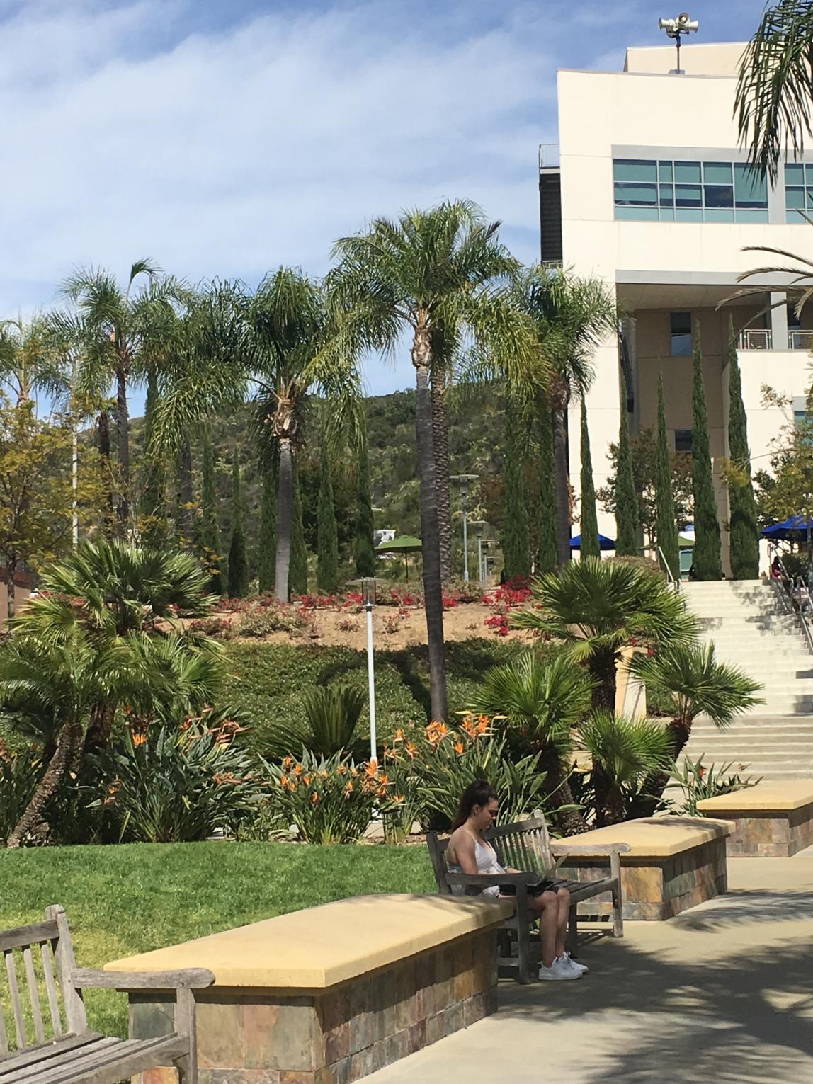 California State University San Marcos Content 13