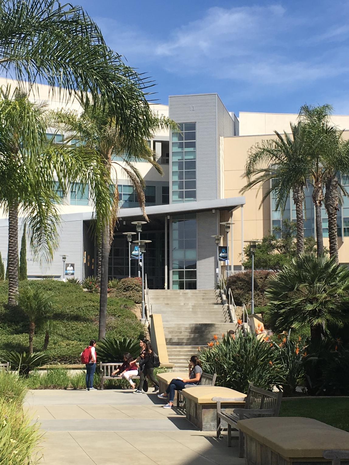 California State University San Marcos Content 14