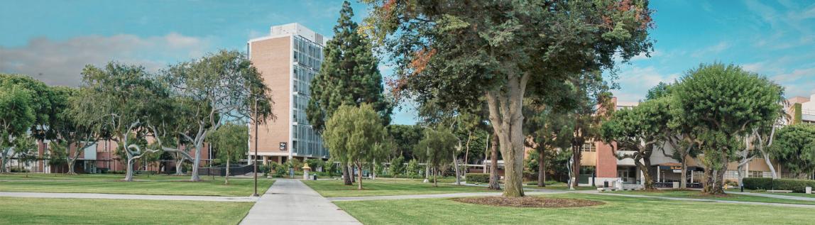 California State University, Long Beach Academic Program  SAF