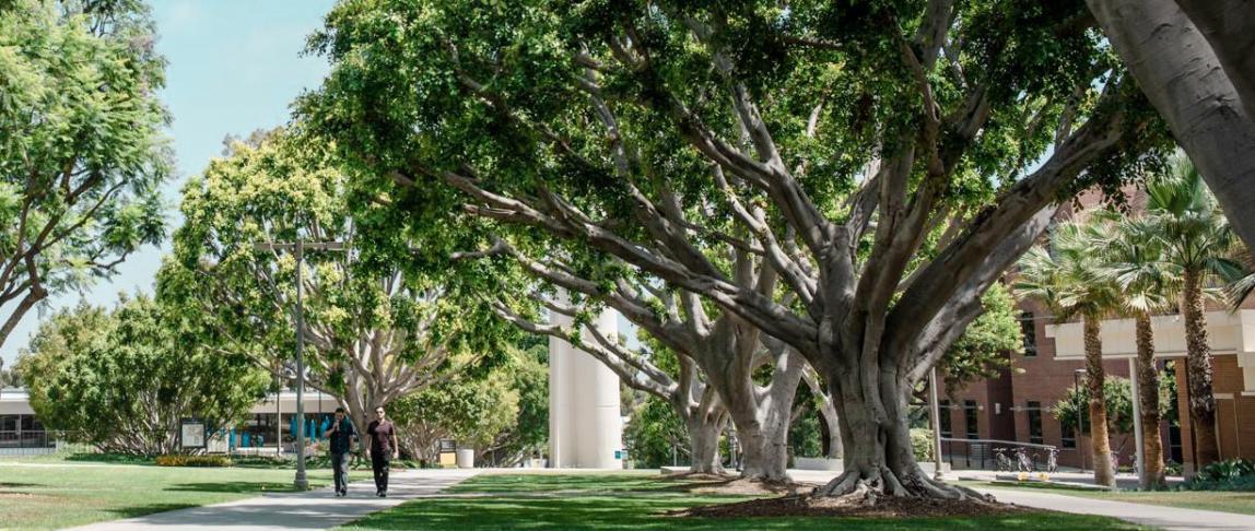 California State University Long Beach Featured 02