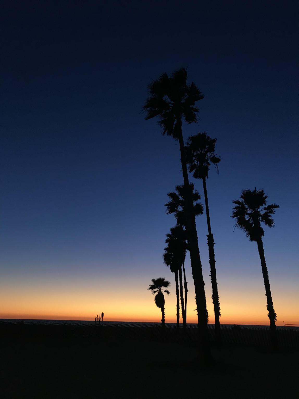 University of California, Riverside Content 01
