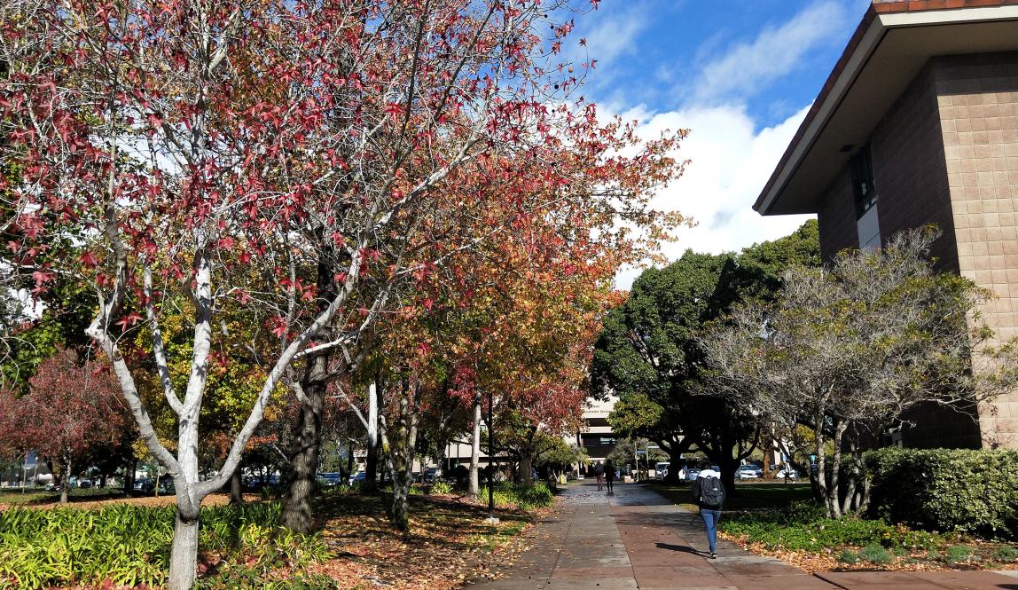 University of California, Santa Barbara Content 018