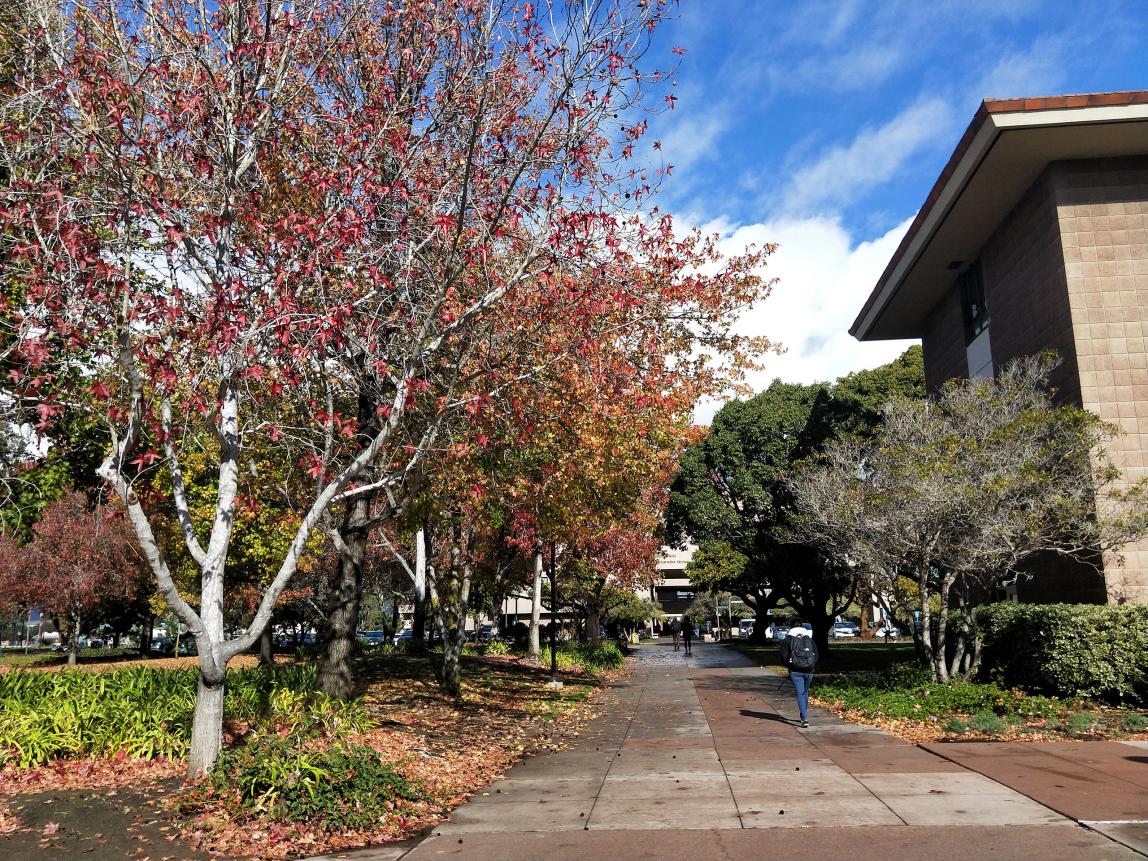 University of California, Santa Barbara Content 018