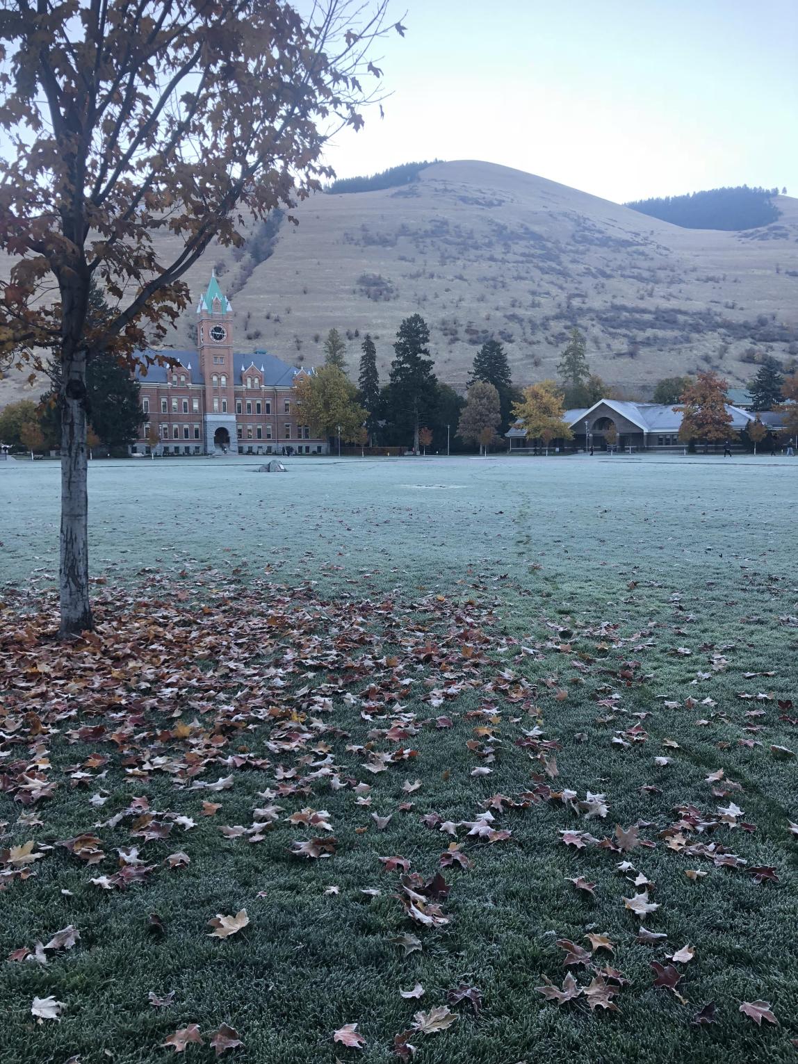 University of Montana Content 02