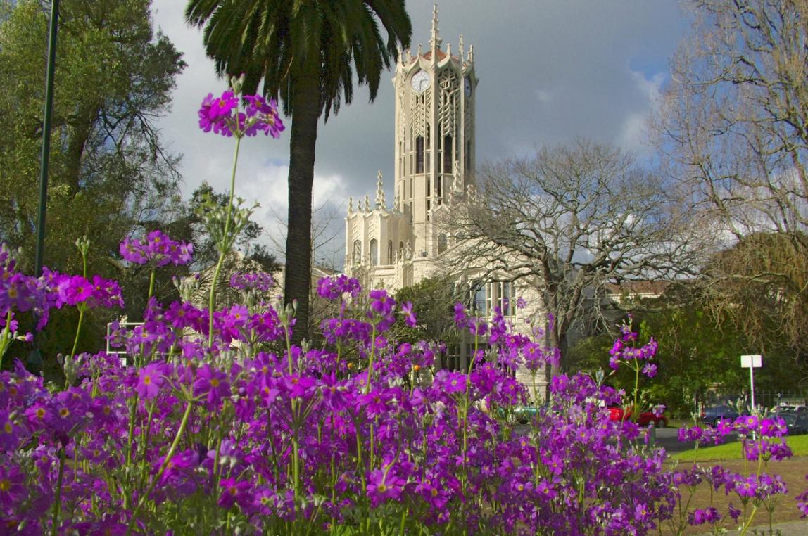 University of Auckland