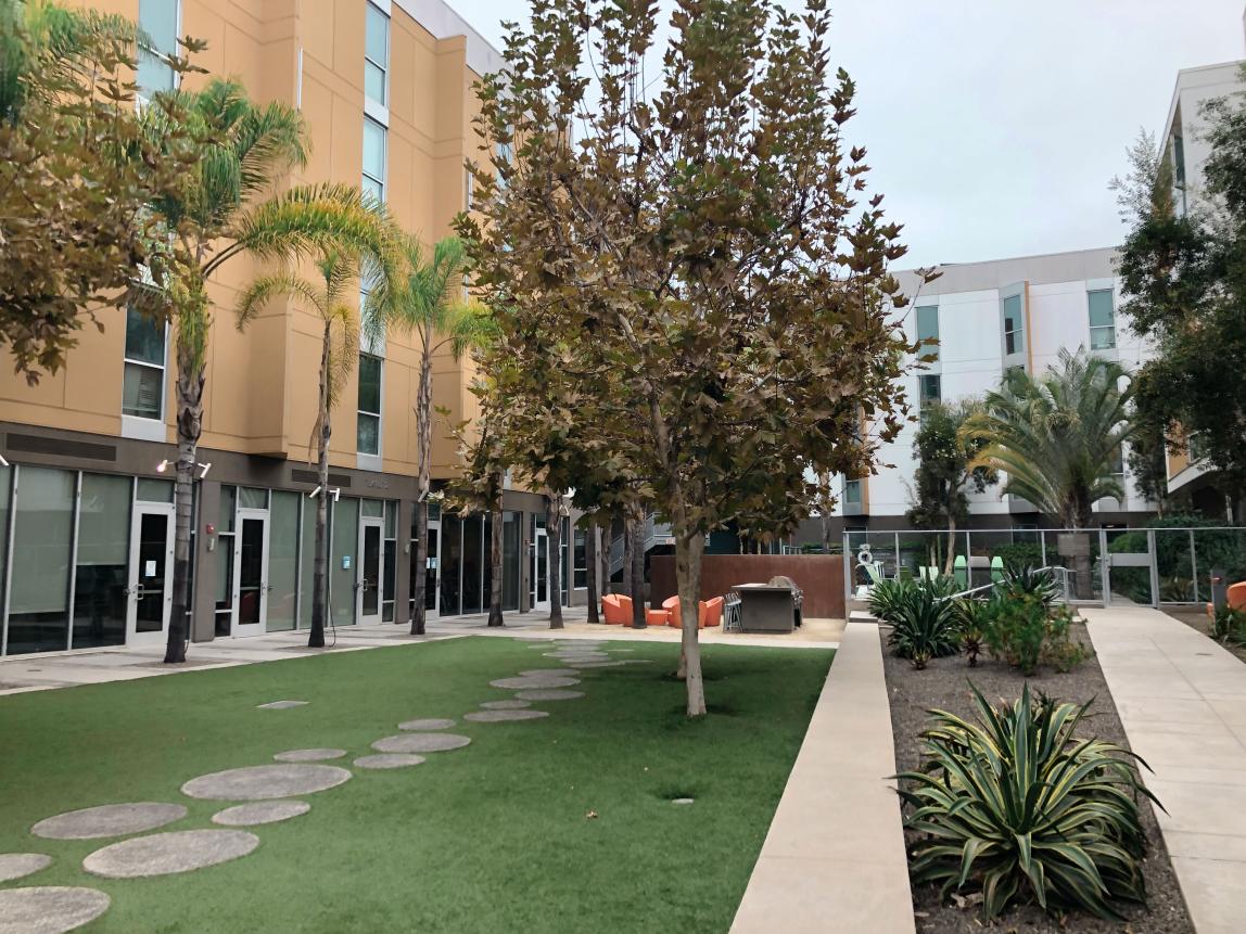California State University San Marcos Content 21