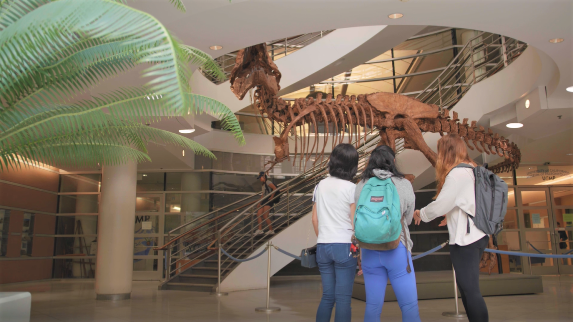 UC Berkeley Museum Dinosaur