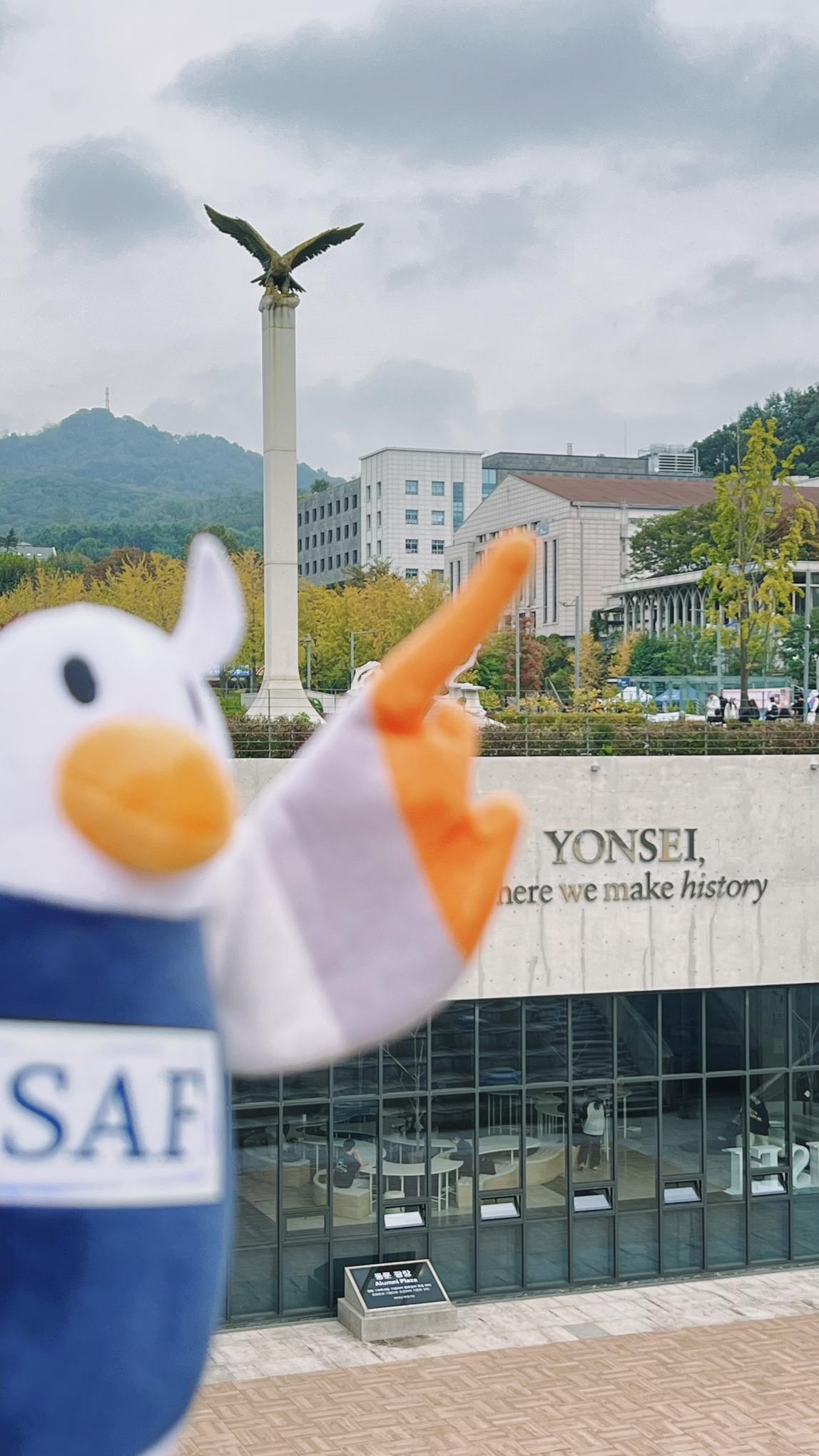 SAFFY Doll at Yonsei University
