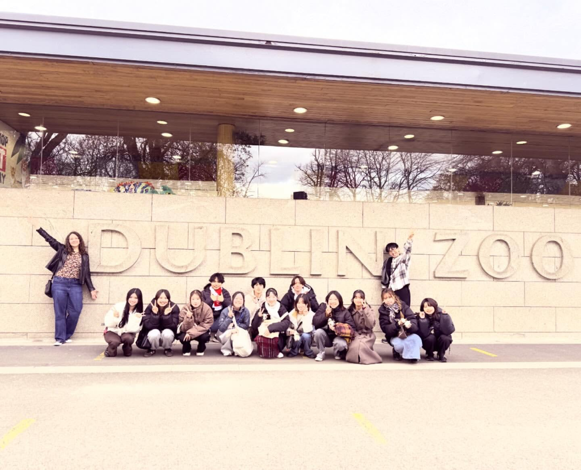 ダブリン動物編へ