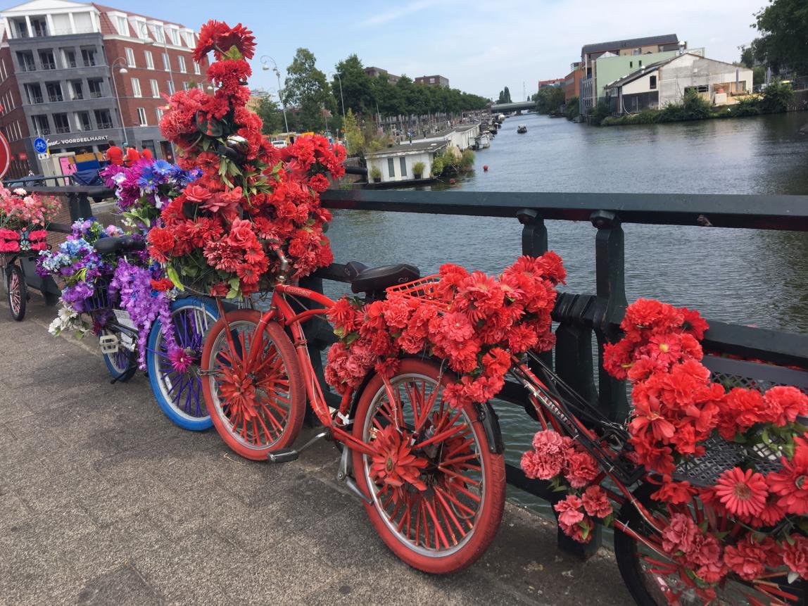 many bikes and flowers with matching colors sitting along the railings of an Amsterdam canal