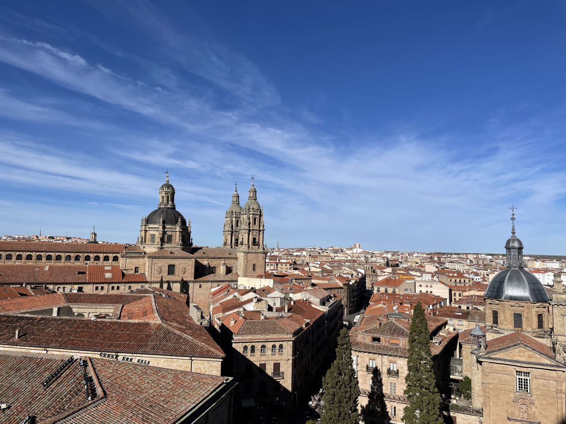 the rooftops of Salamanca