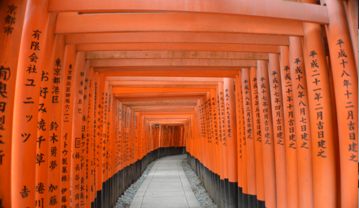 The red gates of kyoto