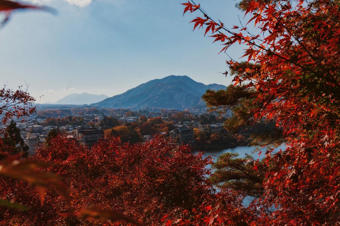 Mount Fugi is centered between tree red leaves.