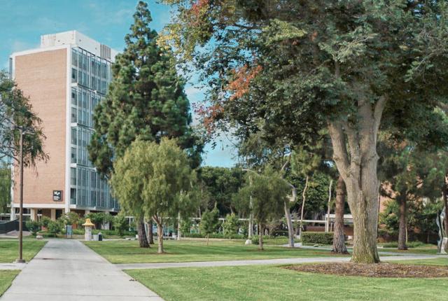 California State University Long Beach Content 12