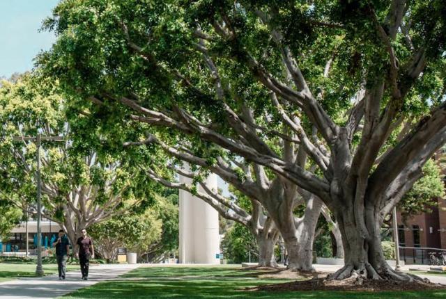 California State University Long Beach Featured 02