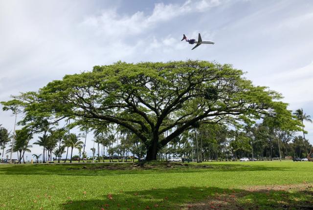 University of Hawaii, Hilo Content 07