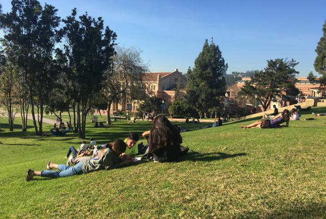 University of California, Los Angeles Content 019