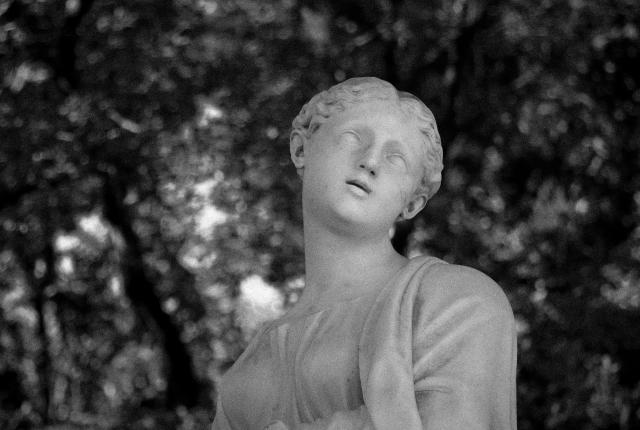 A black and white photo of a white sculpture of a forlorn woman among trees