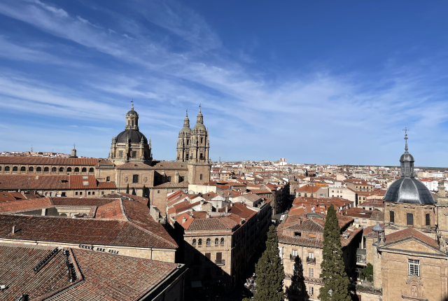 the rooftops of Salamanca