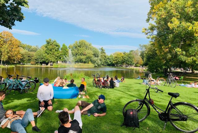 a park in Amsterdam with people and bikes resting on the lawn