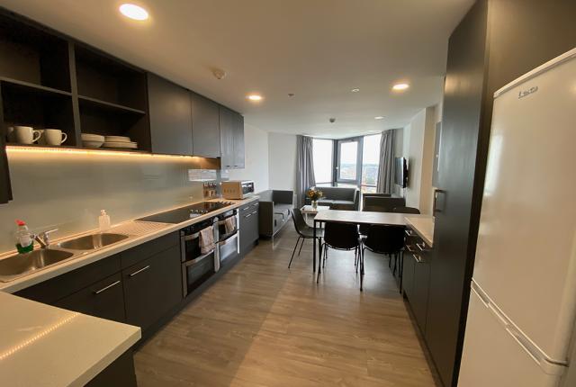 A clean apartment kitchen and living space, with sleek counters, dark cabinets, and modern appliances.