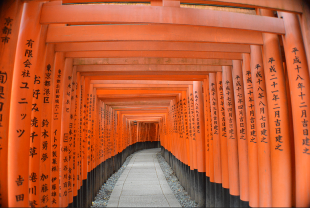 The red gates of kyoto