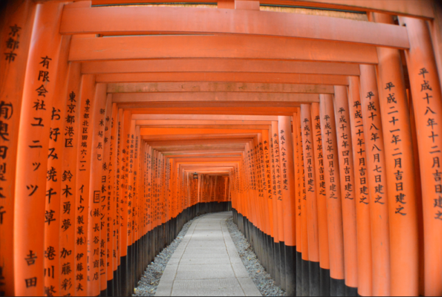 The red gates of kyoto