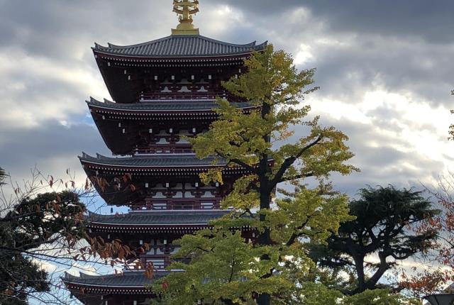 The Sensoji tower with trees and clouds framing it. The tower has a large golden spire at the top.