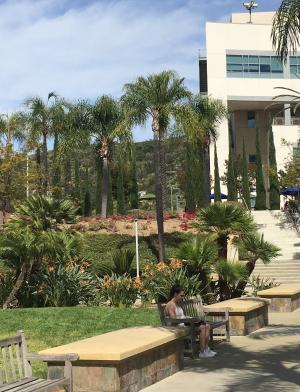 California State University San Marcos Content 13
