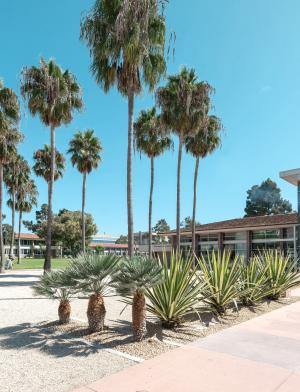 University of California, Santa Barbara Featured 02