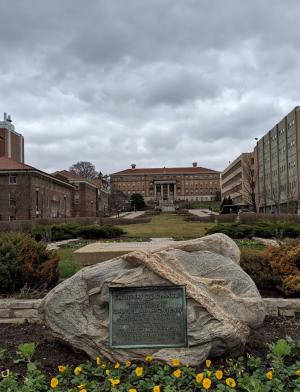 University of Wisconsin Content 16
