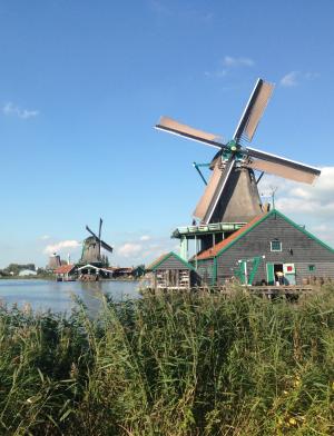 windmills near a lake in Amsterdam