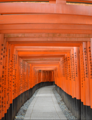 The red gates of kyoto