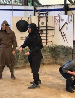 Actors dressed in historical ninja garb performing stunts with a variety of weapons and moves.