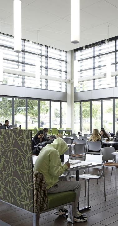 California State University, San Marcos Content 05