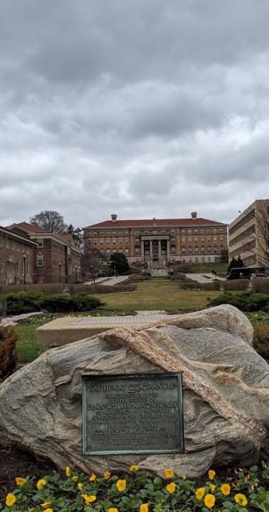 University of Wisconsin Content 16