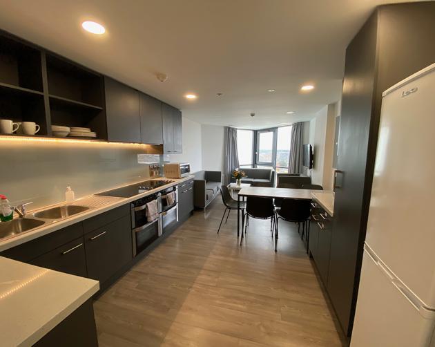 A clean apartment kitchen and living space, with sleek counters, dark cabinets, and modern appliances.
