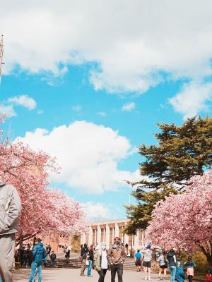 University of Washington