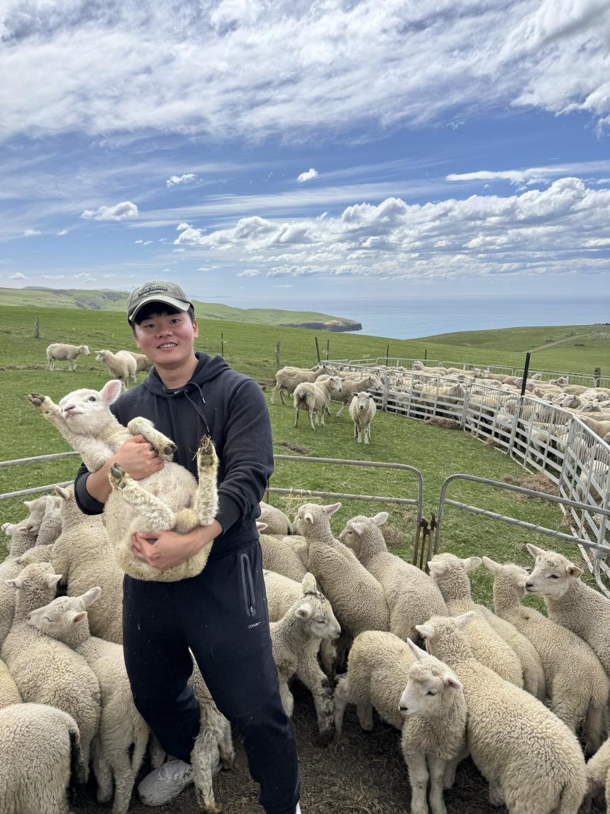 2025年フォトコンテストSAFスタッフ賞