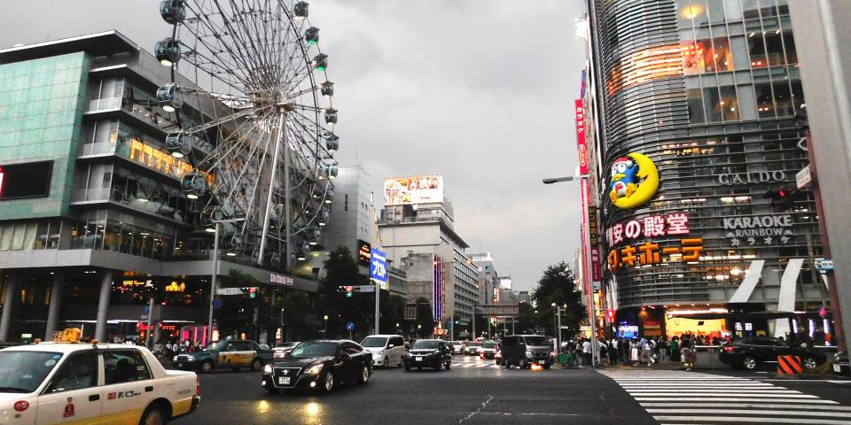 IES Program Nagoya 08