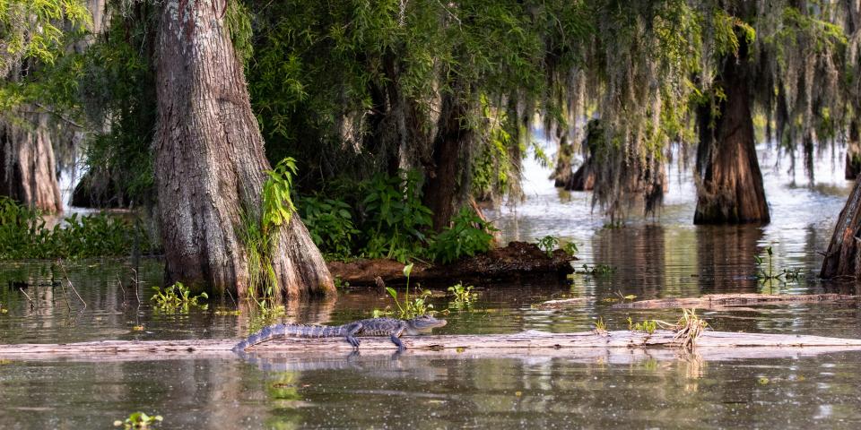 Louisiana