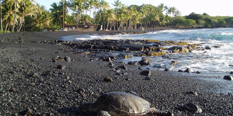 black sand beach hawaii