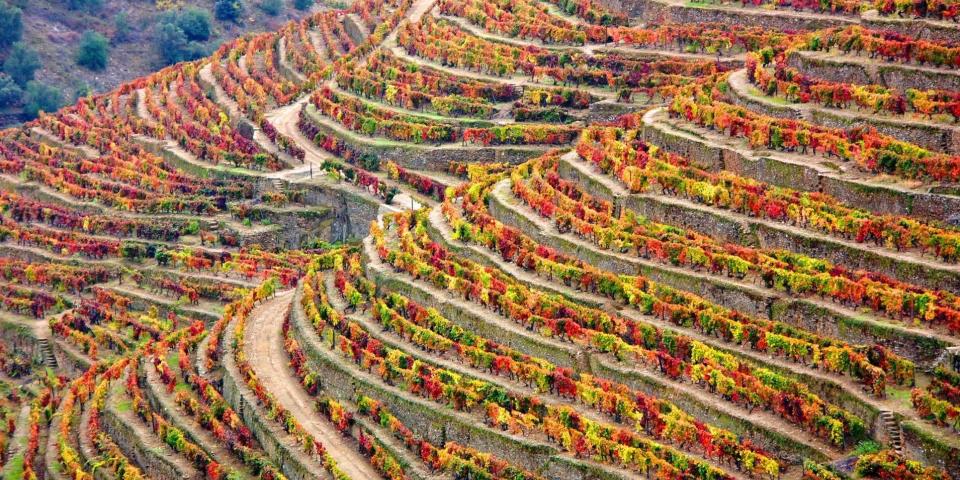 Douro Valley