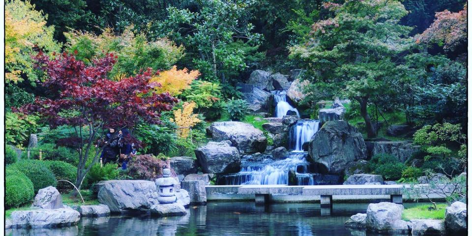 Kyoto Garden pond and colourful trees