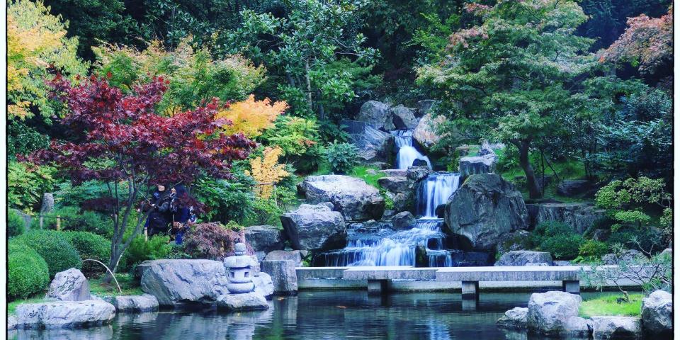 Kyoto Garden pond and colourful trees 