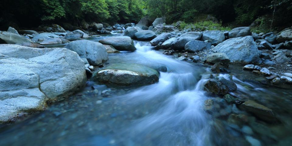 a rushing river over rocks in a forest