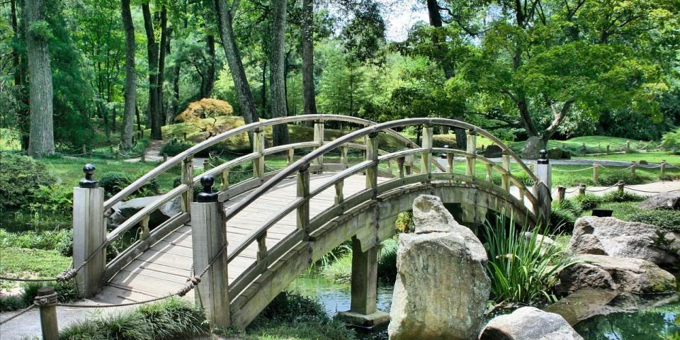 Bridge in Japanese Garden
