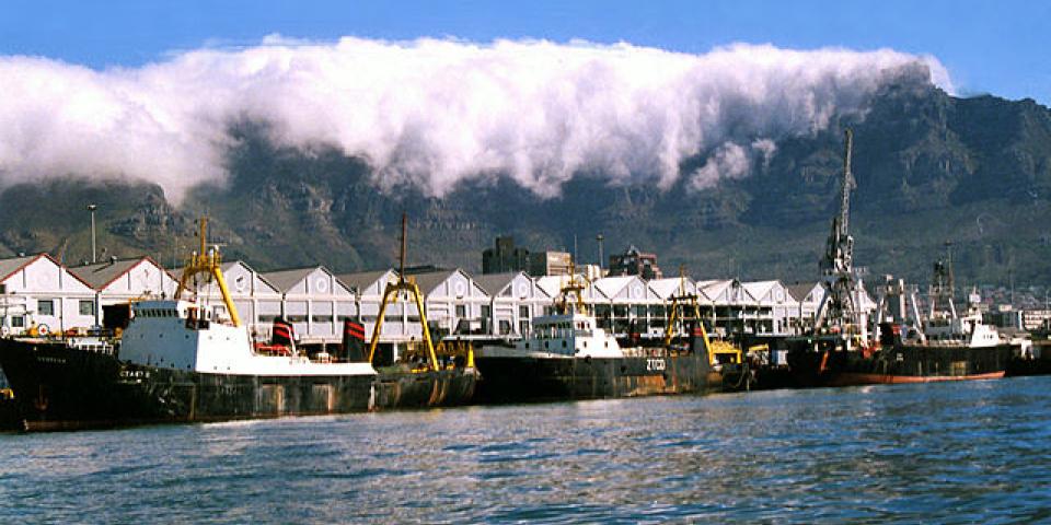 Fishing Cape Town